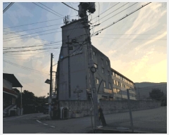  2025Ÿ��73233  �ټ���(����)���