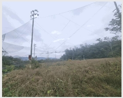  2025Ÿ��73291 ��� ���ֽ� ������ ���ϸ� ��42      ����(�Ӿ�)���