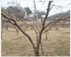  2025Ÿ��1088 ��� ���ֽ� ����� ���ϸ� 376-2      ����(��)���