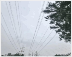  2025Ÿ��1088 ��� ���ֽ� ����� ���ϸ� 376-2      ����(��)���