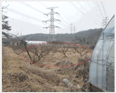  2025Ÿ��1088 ��� ���ֽ� ����� ���ϸ� 376-2      ����(��)���