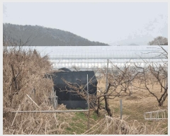  2025Ÿ��1088 ��� ���ֽ� ����� ���ϸ� 376-2      ����(��)���