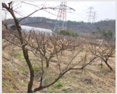  2025Ÿ��1088 ��� ���ֽ� ����� ���ϸ� 376-2      ����(��)���