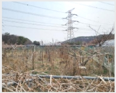  2025Ÿ��1088 ��� ���ֽ� ����� ���ϸ� 376-2      ����(��)���