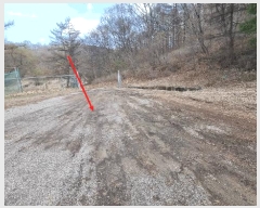  2025Ÿ1231  õ 峲 ۸ 106-2      (Ӿ)