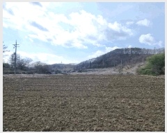  2025Ÿ1231  õ 峲 ۸ 106-2      (Ӿ)