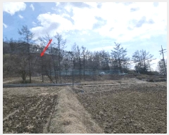  2025Ÿ1231  õ 峲 ۸ 106-2      (Ӿ)