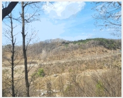  2025Ÿ1231  õ 峲 ۸ 106-2      (Ӿ)