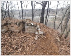  2025Ÿ1231  õ 峲 ۸ 106-2      (Ӿ)