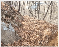  2025Ÿ1231  õ 峲 ۸ 106-2      (Ӿ)