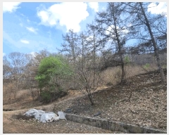  2025Ÿ1231  õ 峲 ۸ 106-2      (Ӿ)