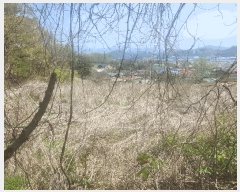  2025Ÿ��1637  �����