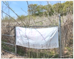  2025Ÿ��1637  �����