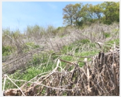  2025Ÿ��1637  �����