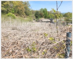  2025Ÿ��1637  �����