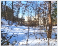  2025Ÿ��71155  �����