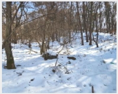  2025Ÿ��71155  �����