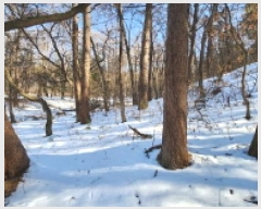  2025Ÿ��71155  �����