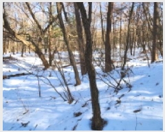  2025Ÿ��71155  �����