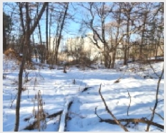  2025Ÿ��71155  �����