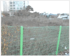  2025Ÿ��71500  �����