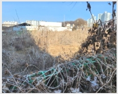  2025Ÿ��71500  �����