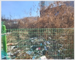  2025Ÿ��71500  �����