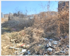  2025Ÿ��71500  �����