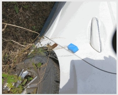  2025Ÿ��72310 ��� ���ֽ� �鼮�� �漺�� 492-3 �����߱�ŸŻ��     �������