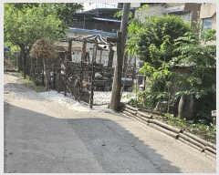  2025Ÿ��72366 ��� ���ֽ� ���� ����� 147-49      ����(����)���