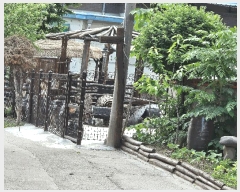  2025Ÿ��72366 ��� ���ֽ� ���� ����� 147-49      ����(����)���