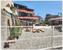  2025Ÿ��72366 ��� ���ֽ� ���� ����� 147-49      ����(����)���