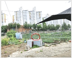  2025Ÿ��72438  �����