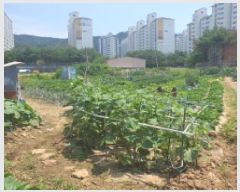  2025Ÿ��72438  �����