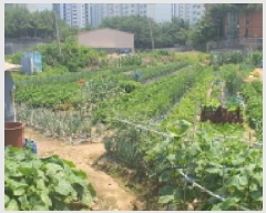  2025Ÿ��72438  �����