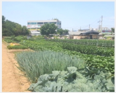  2025Ÿ��72438  �����