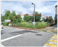  2025Ÿ��72480 ��� ���ֽ� ������ 1018-9       ����(����)���