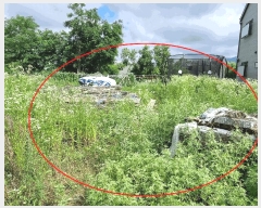  2025Ÿ��72480 ��� ���ֽ� ������ 1018-9       ����(����)���