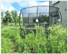  2025Ÿ��72480 ��� ���ֽ� ������ 1018-9       ����(����)���