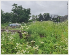  2025Ÿ��72480 ��� ���ֽ� ������ 1018-9       ����(����)���