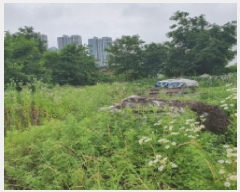  2025Ÿ��72480 ��� ���ֽ� ������ 1018-9       ����(����)���