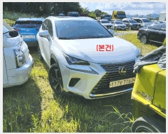  2025Ÿ��72821 ��� ���ֽ� �鼮�� �漺�� 492-3, ����������     �������