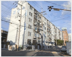  2025Ÿ��73296  ����Ʈ���