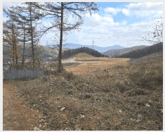  2025Ÿ��73541 ��� ���ֽ� ������ ����� 496-3      ����(�Ӿ�)���