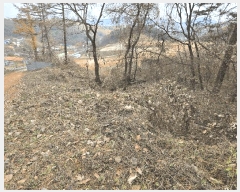  2025Ÿ��73541 ��� ���ֽ� ������ ����� 496-3      ����(�Ӿ�)���