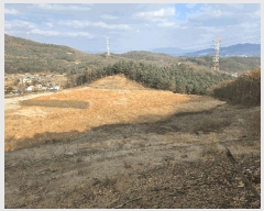  2025Ÿ��73541 ��� ���ֽ� ������ ����� 496-3      ����(�Ӿ�)���