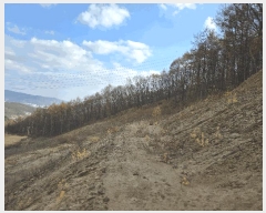  2025Ÿ��73541 ��� ���ֽ� ������ ����� 496-3      ����(�Ӿ�)���