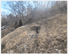  2025Ÿ��764 ��� ���ֽ� ���� Ȳ�渮 ��6      ����(�Ӿ�)���