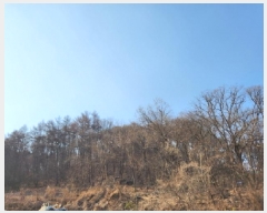  2025Ÿ��764 ��� ���ֽ� ���� Ȳ�渮 ��6      ����(�Ӿ�)���