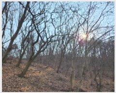  2025Ÿ��764 ��� ���ֽ� ���� Ȳ�渮 ��6      ����(�Ӿ�)���